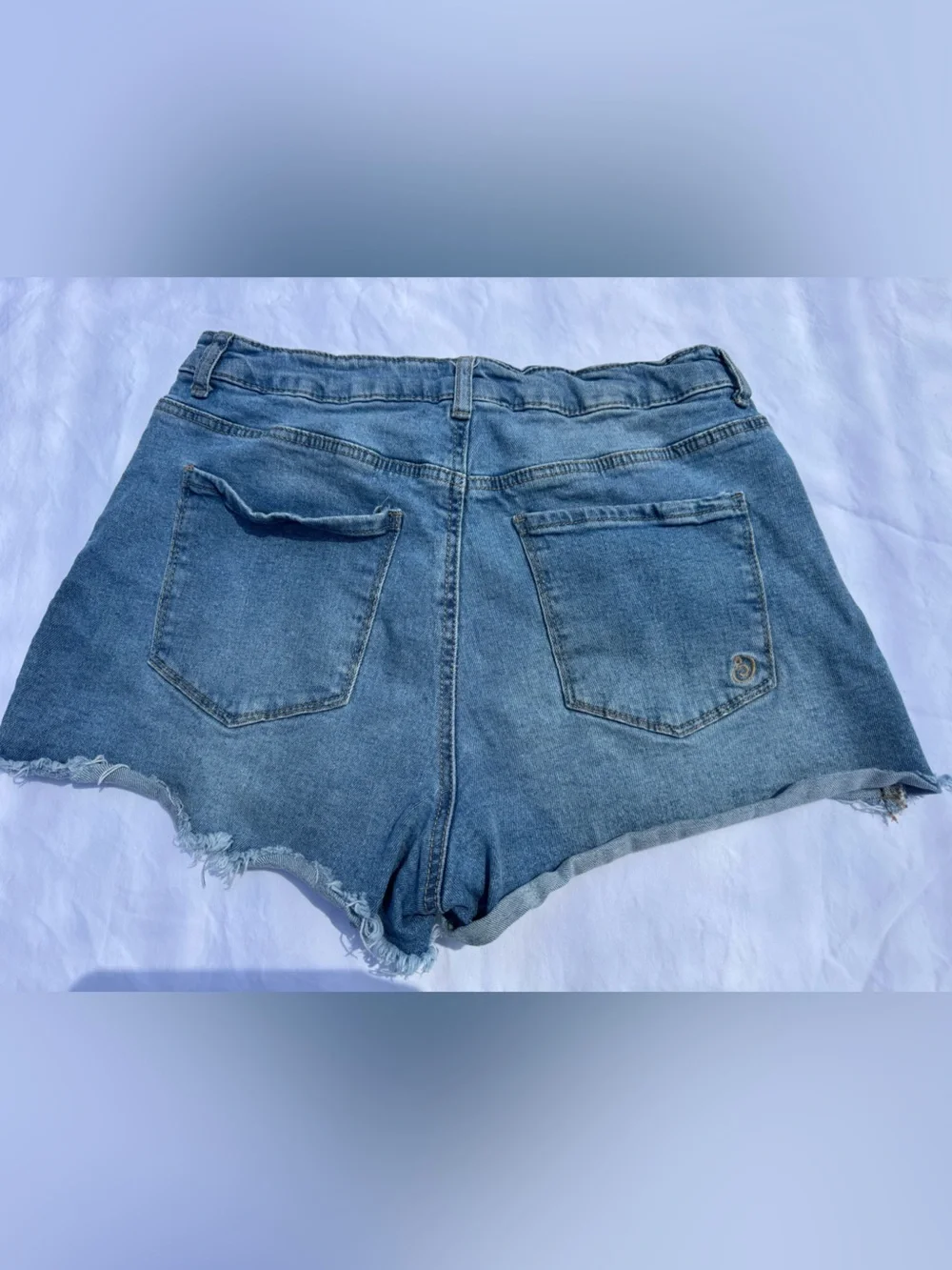 Indigo Rein Light Blue Denim Shorts with Fruit Patch Embroidery